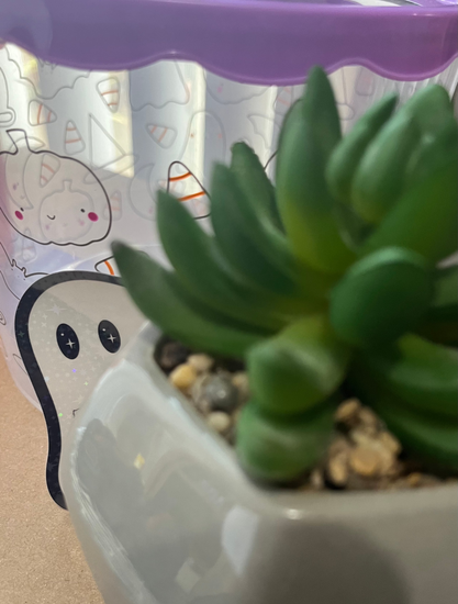 ghost sticker peeking from behind a succulent